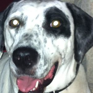 Meet your Posher, Sheryl